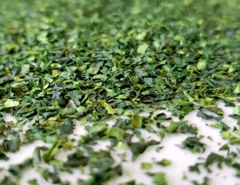 About Tencha: The Leaves That Become Matcha Powder
