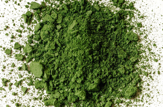 Matcha Cultivars. An In-Depth Dive. - Northeast Tea House