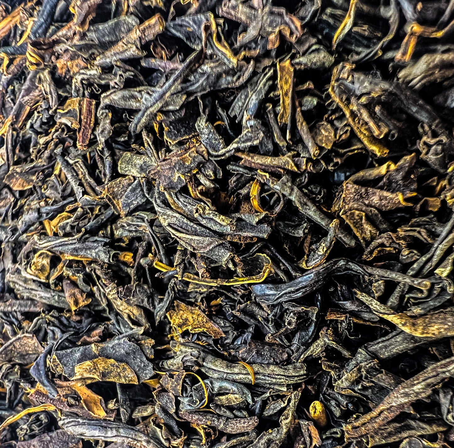 Wakocha