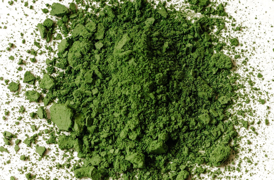 Matcha Cultivars. An In-Depth Dive. - Northeast Tea House